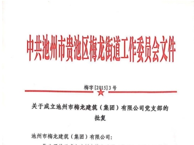 公司党支部成立